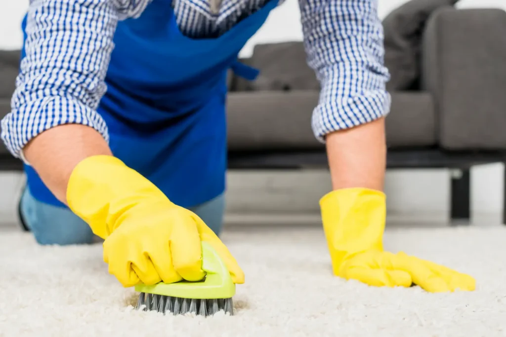Carpet and Sanitization Cleaning